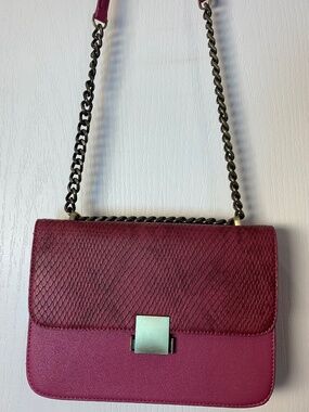 Pixie Mood Vegan Leather Raspberry Crossbody Bag Gold Chain Chic Minimalist